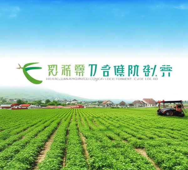 黑龙江双源农业科技开发有限公司,引领绿色农业发展,助力乡村振兴的科技力量 黑龙江双源农业科技开发有限公司,引领绿色农业发展,助力乡村振兴的科技力量